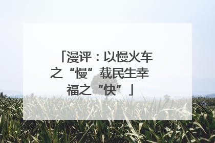 漫评：以慢火车之“慢”载民生幸福之“快”