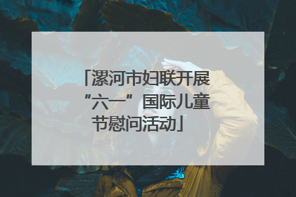 漯河市妇联开展“六一”国际儿童节慰问活动