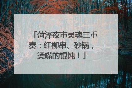 菏泽夜市灵魂三重奏：红柳串、砂锅，烫嘴的馄饨！