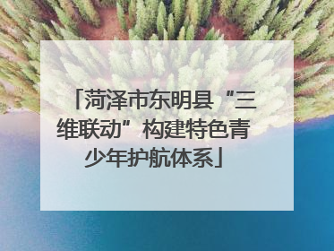 菏泽市东明县“三维联动”构建特色青少年护航体系