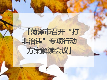 菏泽市召开“打非治违”专项行动方案解读会议