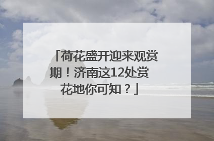 荷花盛开迎来观赏期！济南这12处赏花地你可知？