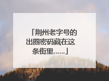 荆州老字号的出圈密码藏在这条街里……
