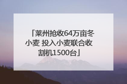 莱州抢收64万亩冬小麦 投入小麦联合收割机1500台