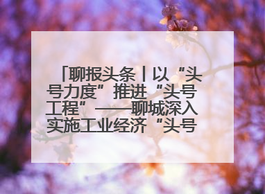 聊报头条丨以“头号力度”推进“头号工程”——聊城深入实施工业经济“头号工程”打造经济发展强引擎
