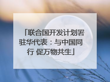 联合国开发计划署驻华代表：与中国同行 促万物共生