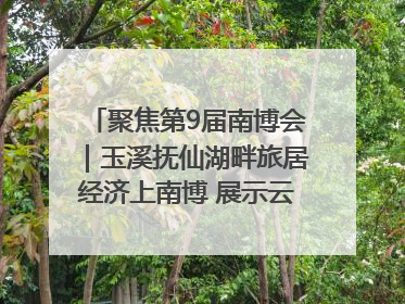 聚焦第9届南博会｜玉溪抚仙湖畔旅居经济上南博 展示云南生活新样本