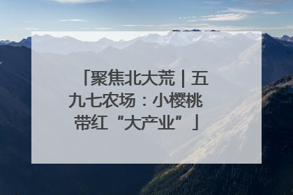 聚焦北大荒｜五九七农场：小樱桃带红“大产业”