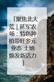 聚焦北大荒｜延军农场：特色种植带旺多元业态 土地焕发新活力