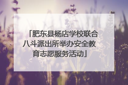 肥东县杨店学校联合八斗派出所举办安全教育志愿服务活动