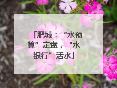 肥城：“水预算”定盘，“水银行”活水