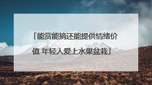 能赏能摘还能提供情绪价值 年轻人爱上水果盆栽