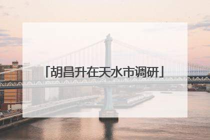 胡昌升在天水市调研