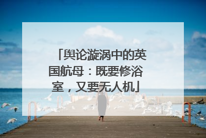 舆论漩涡中的英国航母：既要修浴室，又要无人机