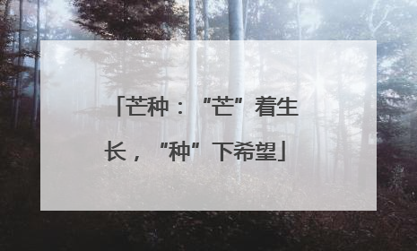 芒种：“芒”着生长，“种”下希望