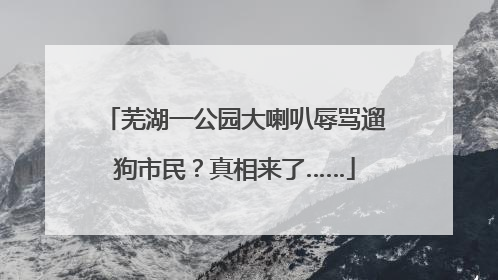 芜湖一公园大喇叭辱骂遛狗市民？真相来了……