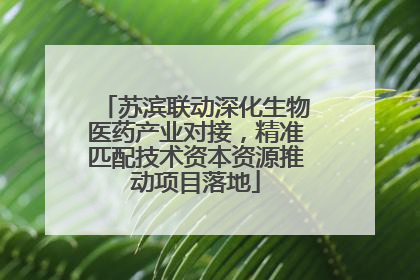 苏滨联动深化生物医药产业对接，精准匹配技术资本资源推动项目落地