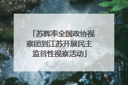 苏辉率全国政协视察团到江苏开展民主监督性视察活动
