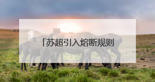 苏超引入熔断规则：单场净胜球超过8个，比赛立即终止