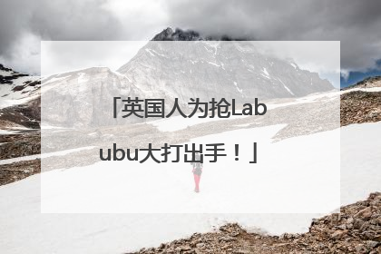英国人为抢Labubu大打出手！