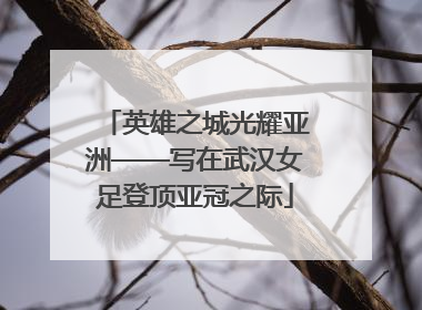 英雄之城光耀亚洲——写在武汉女足登顶亚冠之际