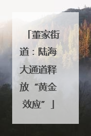 董家街道：陆海大通道释放“黄金效应”
