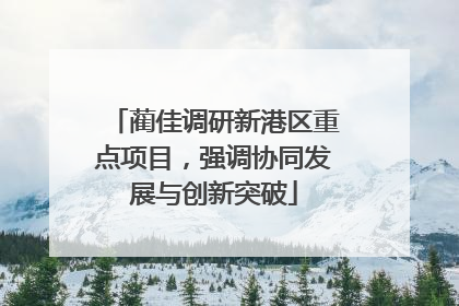 蔺佳调研新港区重点项目，强调协同发展与创新突破