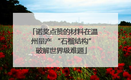 诺奖点赞的材料在温州量产 “石榴结构”破解世界级难题
