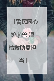 警民同心护萌兽 温情救助显担当