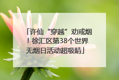 许仙“穿越”劝戒烟！徐汇区第38个世界无烟日活动超吸睛