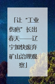 让“工业伤疤”长出春天——辽宁加快废弃矿山治理观察
