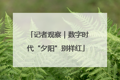 记者观察｜数字时代“夕阳”别样红
