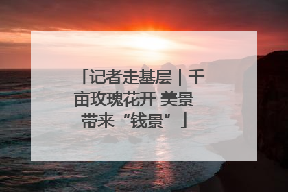 记者走基层｜千亩玫瑰花开 美景带来“钱景”