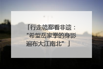 行走赣鄱看非遗：“希望岳家拳的身影遍布大江南北”