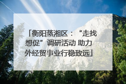 衡阳蒸湘区：“走找想促”调研活动 助力外经贸事业行稳致远