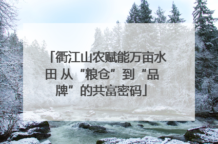 衢江山农赋能万亩水田 从“粮仓”到“品牌”的共富密码