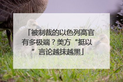 被制裁的以色列高官有多极端？美方“挺以”言论越抹越黑