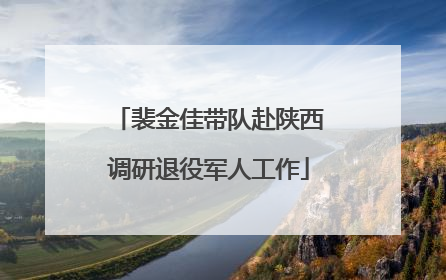 裴金佳带队赴陕西调研退役军人工作