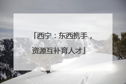 西宁：东西携手，资源互补育人才