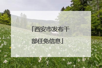 西安市发布干部任免信息