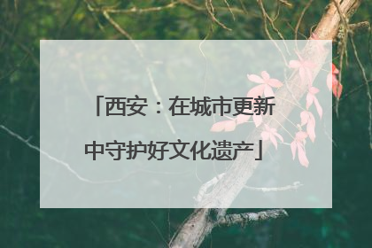 西安：在城市更新中守护好文化遗产