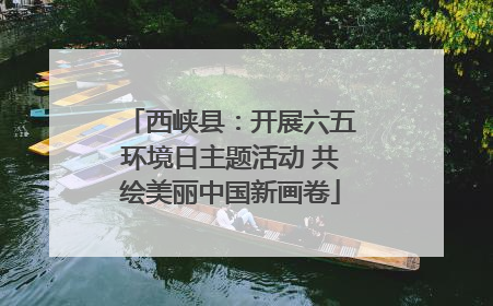 西峡县：开展六五环境日主题活动 共绘美丽中国新画卷