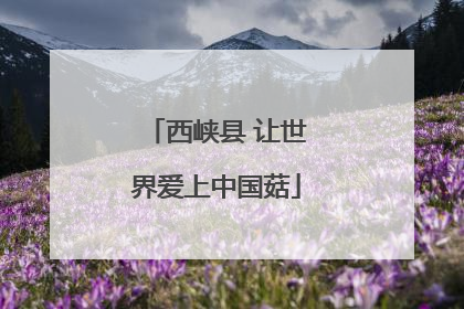 西峡县 让世界爱上中国菇