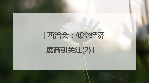 西洽会：低空经济展商引关注(2)