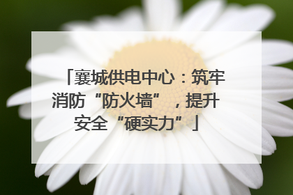 襄城供电中心：筑牢消防“防火墙”，提升安全“硬实力”