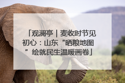 观澜亭｜麦收时节见初心：山东“晒粮地图”绘就民生温暖画卷