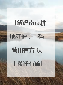 解码南京耕地守护：一码管田有方 沃土搬迁有道