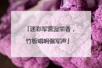 迷彩军营漫墨香，竹板唱响强军声