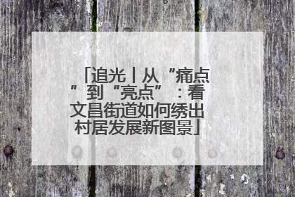 追光丨从“痛点”到“亮点”：看文昌街道如何绣出村居发展新图景