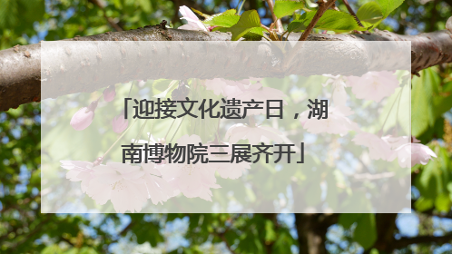 迎接文化遗产日，湖南博物院三展齐开